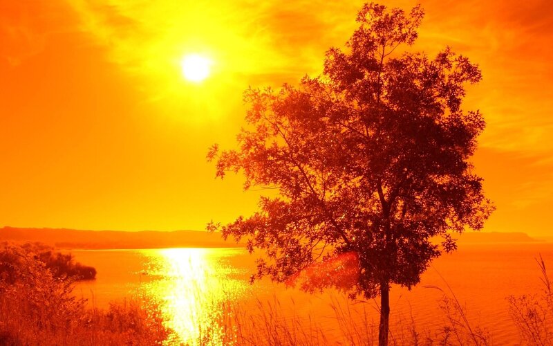 sunset over a lake with tree