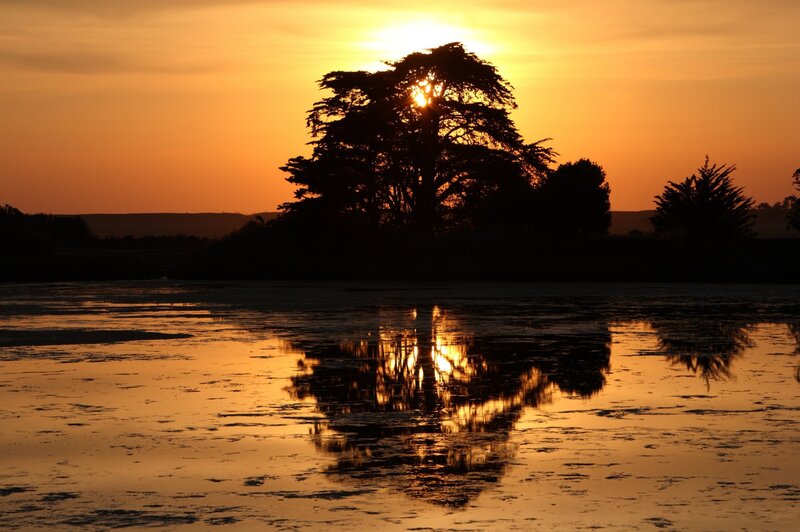 Sunset over a lake with tree silhouette