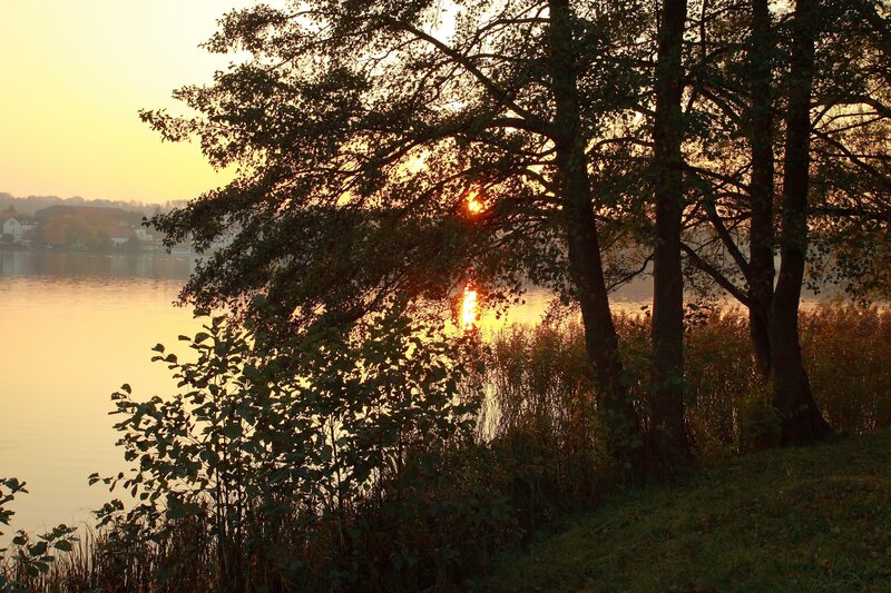 Sunset over a lakeside forest