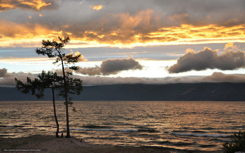 Sunset over a lakeside forest
