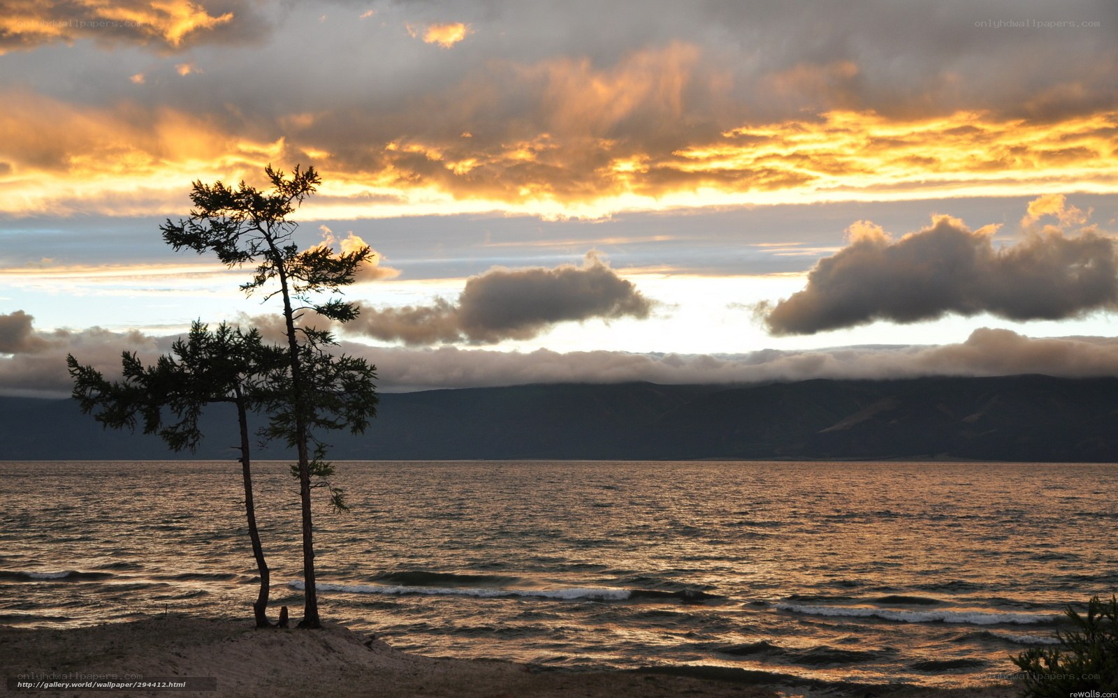 Sunset over a lakeside forest