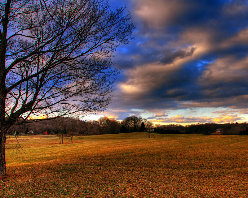 Sunset over a leafless tree field