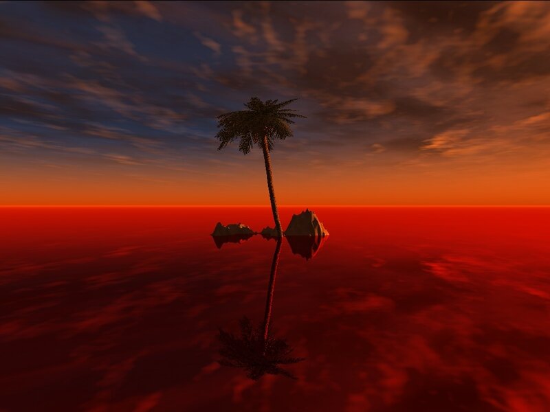 sunset over a lone palm tree