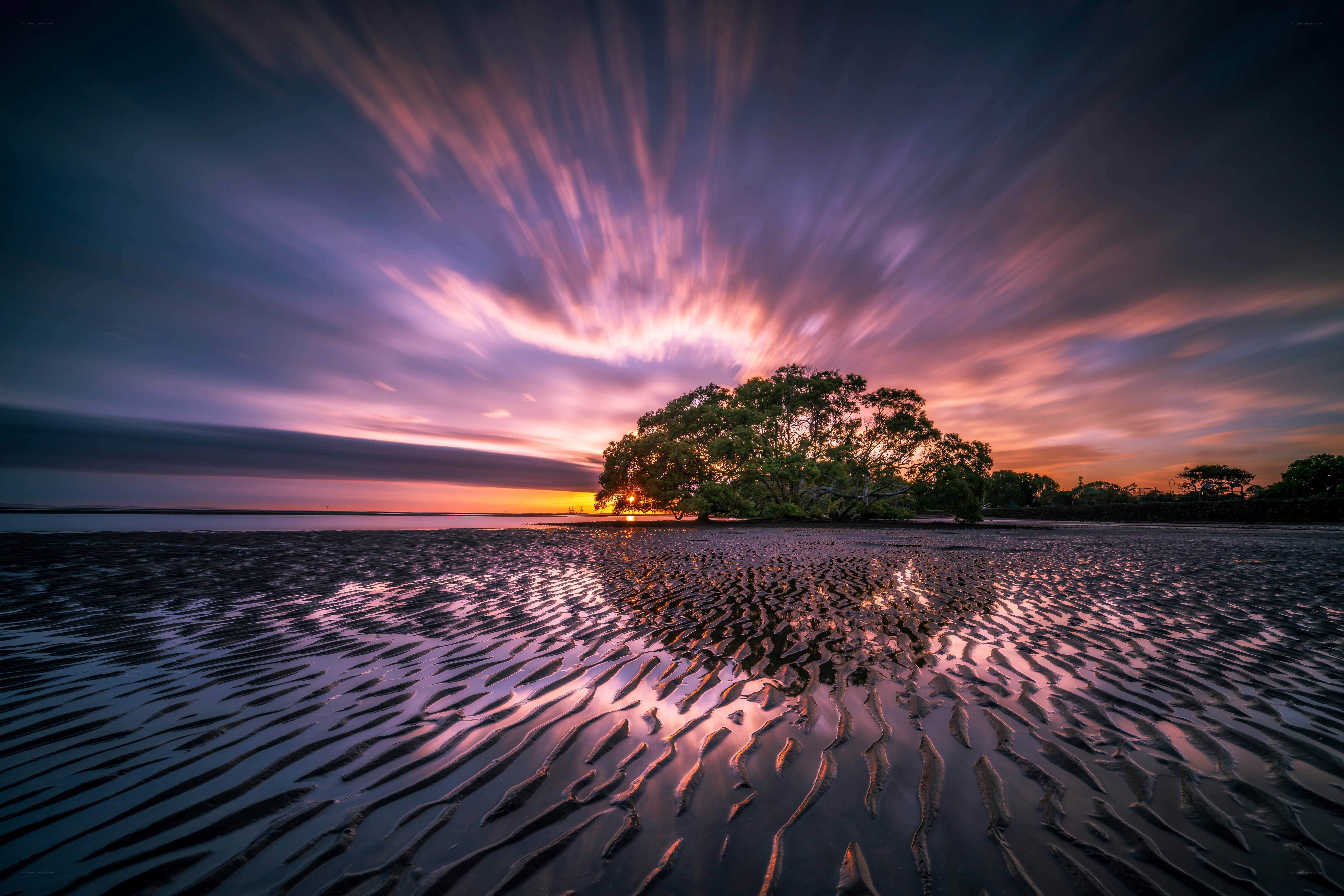 Sunset over a lone tree