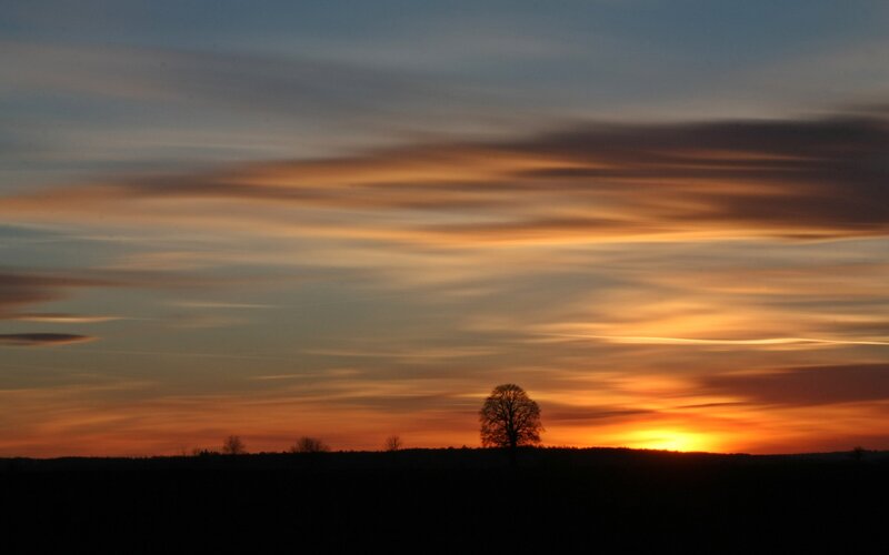 sunset over a lone tree