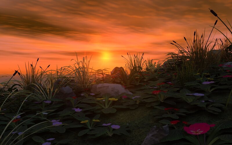 Sunset over a marsh