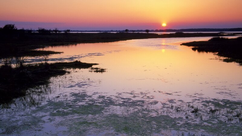 sunset over a marsh