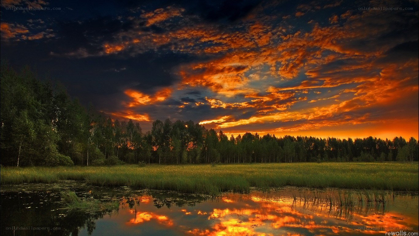 sunset over a marsh