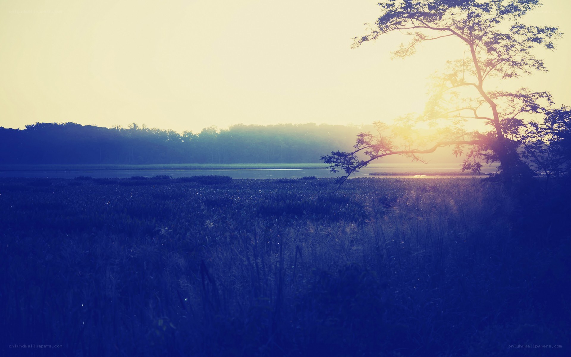 Sunset over a marsh