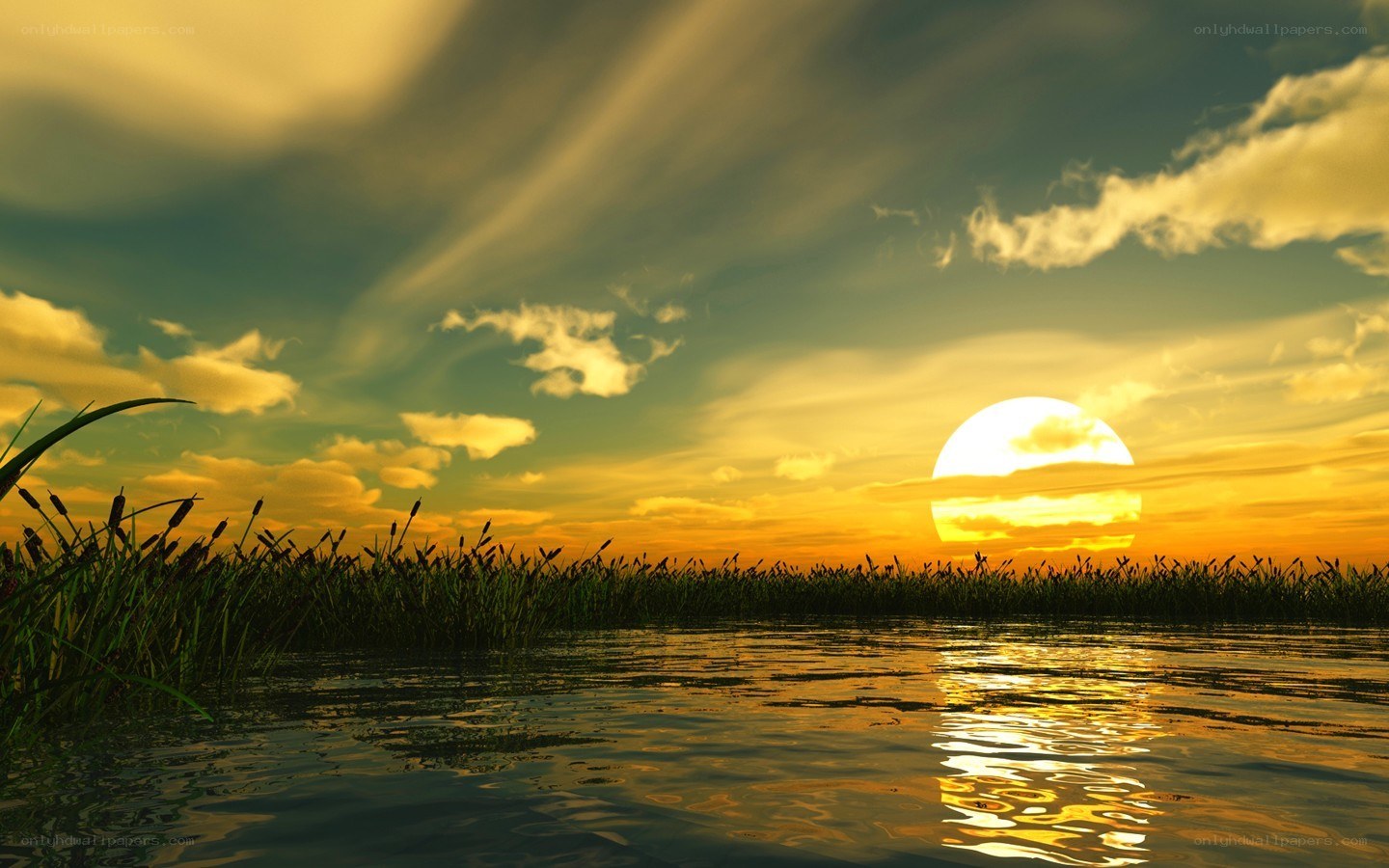 Sunset over a marsh