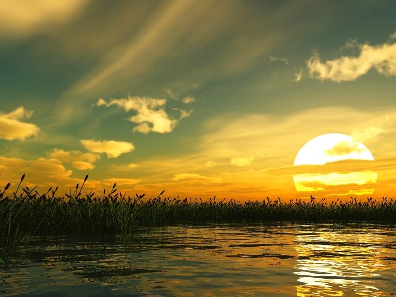 Sunset over a marsh