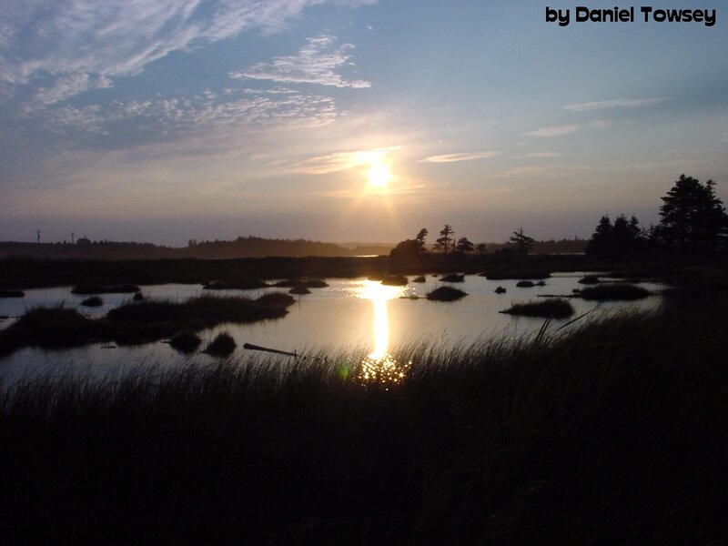 Sunset over a marsh