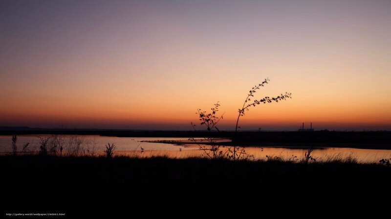 sunset over a marsh