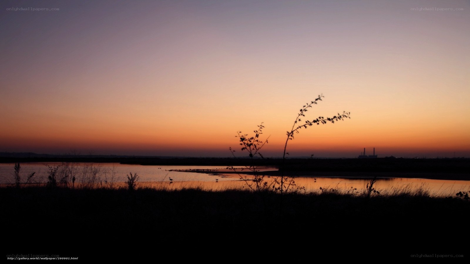 sunset over a marsh
