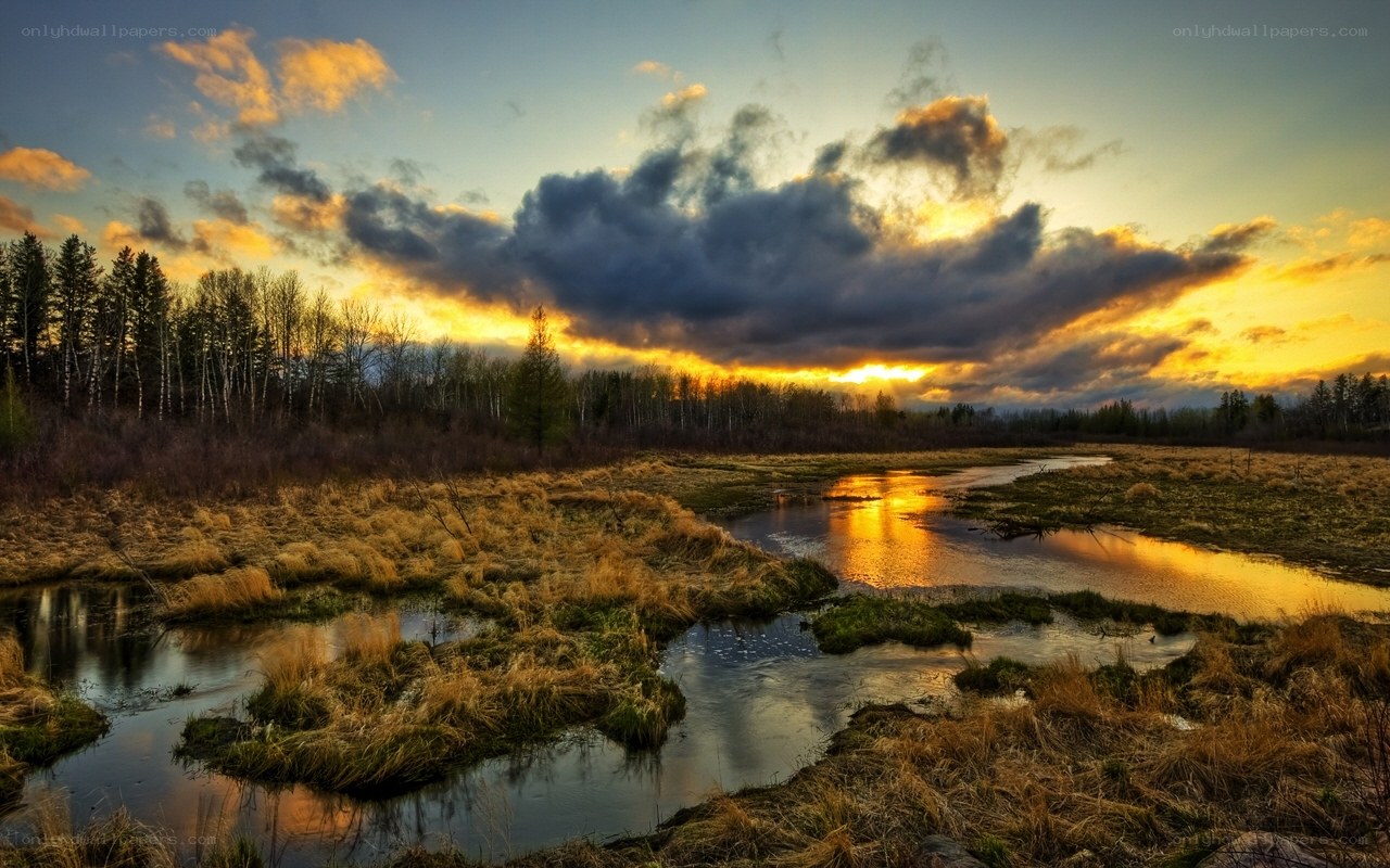 Sunset over a marsh landscape