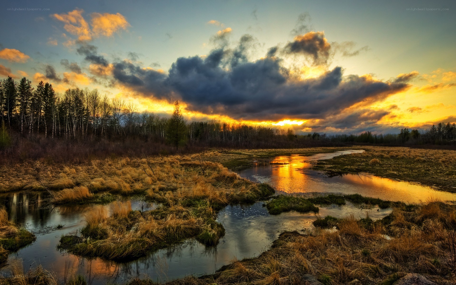 Sunset over a marsh landscape