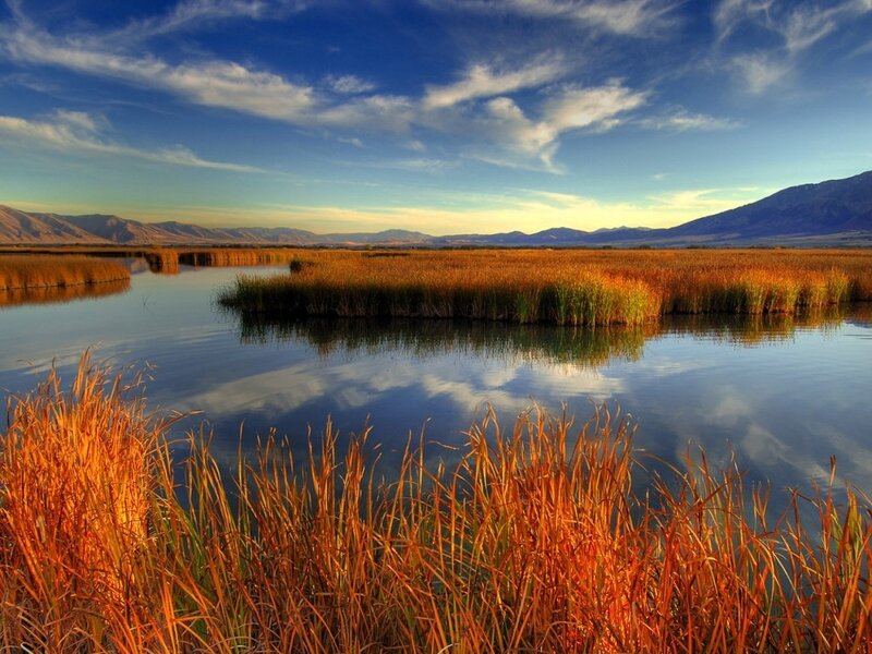 Sunset over a marsh landscape