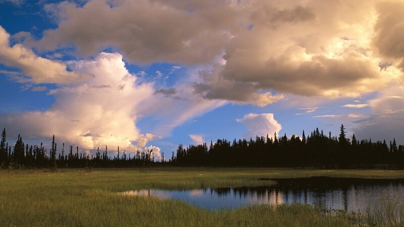 Sunset over a marsh landscape