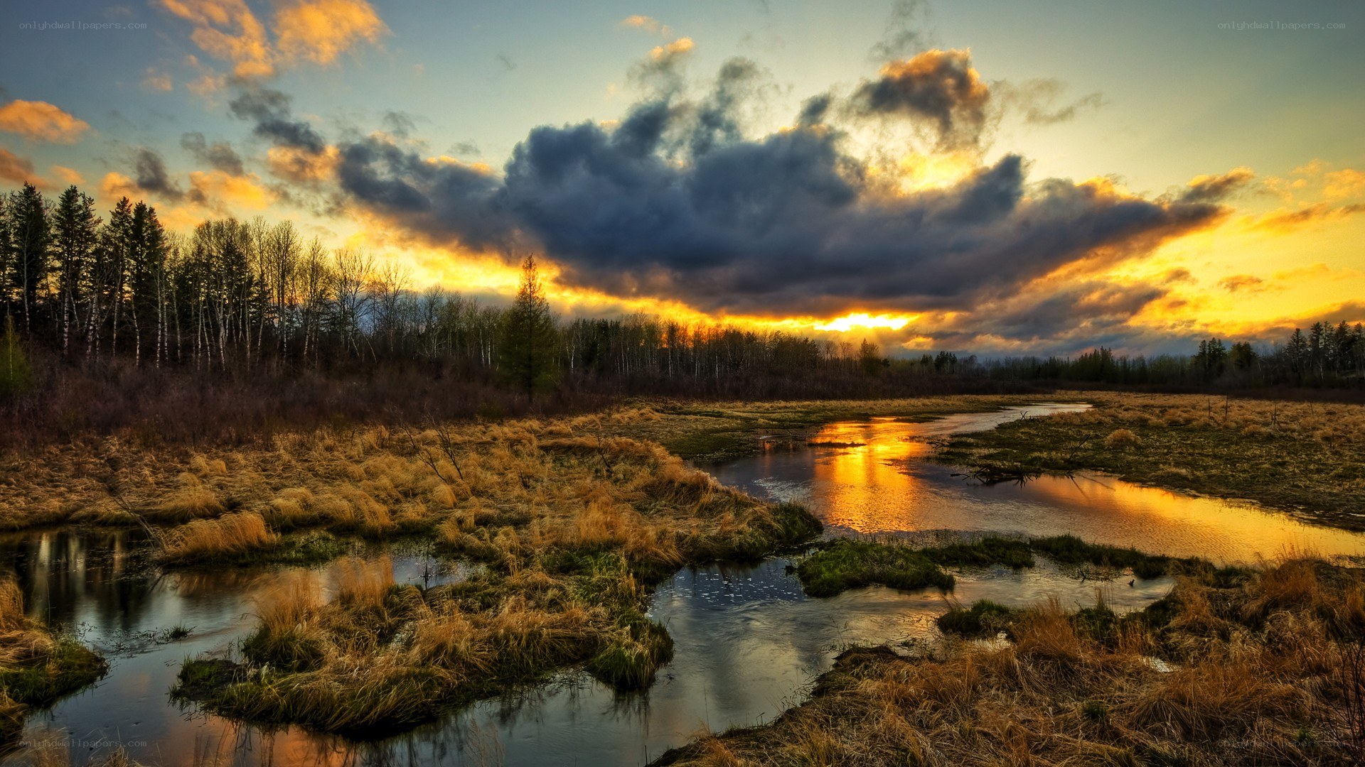 Sunset over a marsh landscape