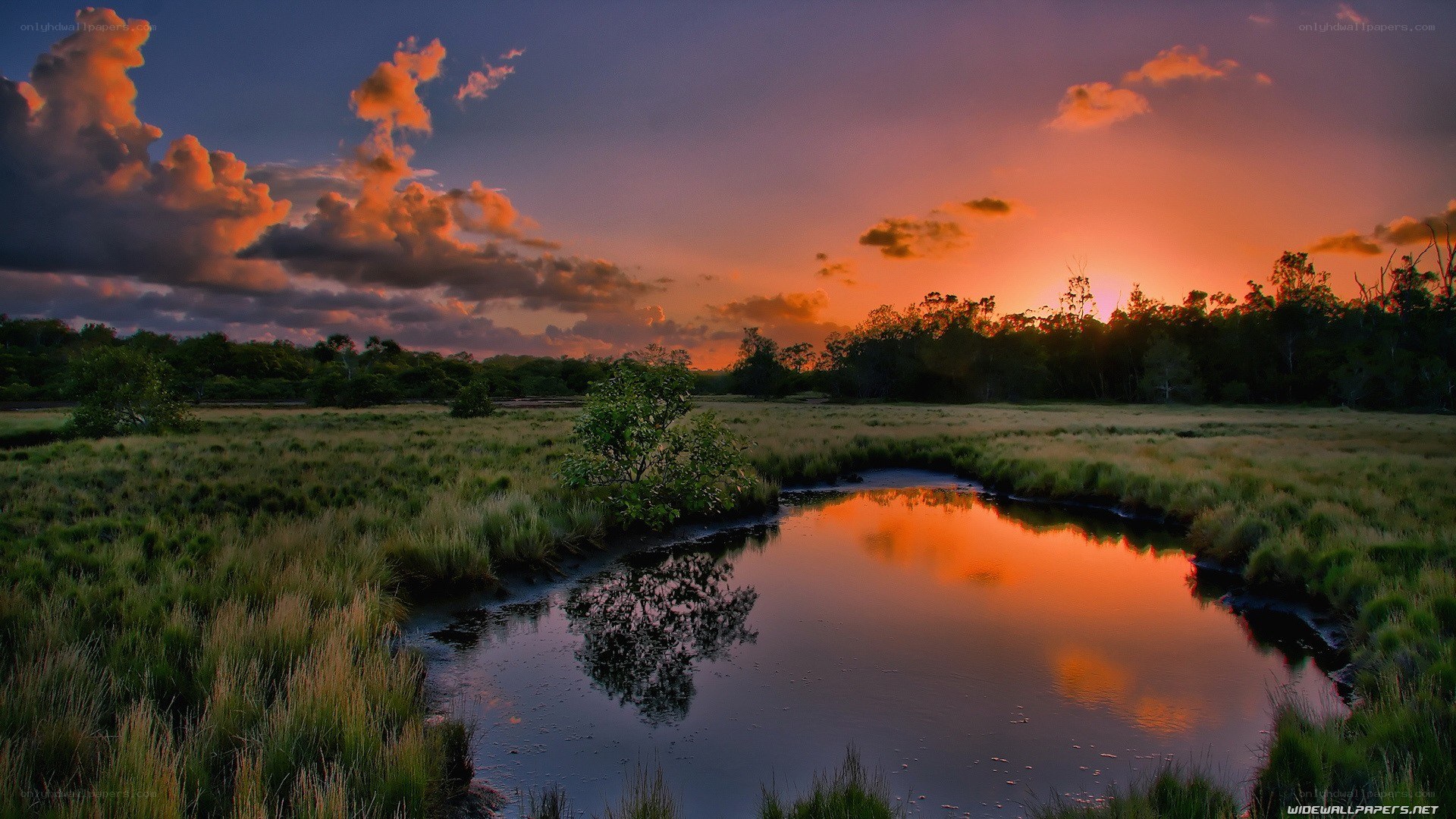 Sunset over a marsh landscape