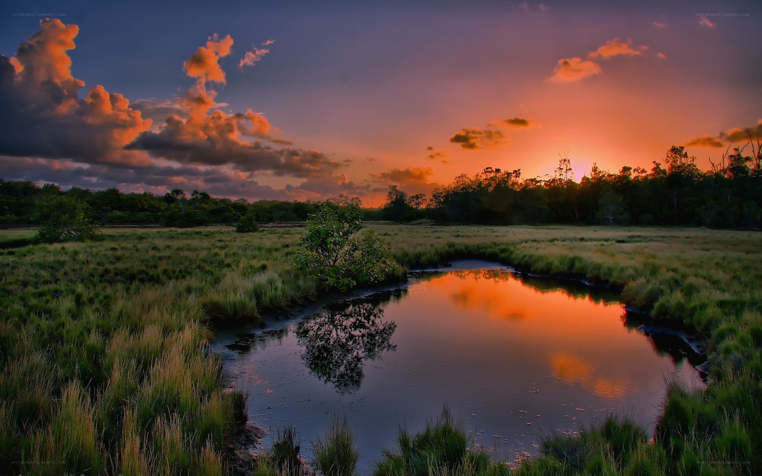 Sunset over a marsh landscape