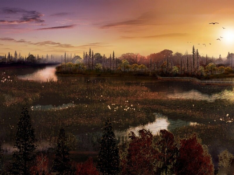 Sunset over a marsh landscape