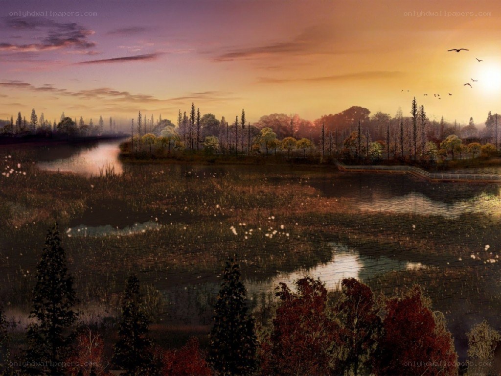 Sunset over a marsh landscape