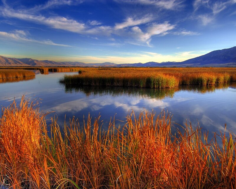 Sunset over a marsh landscape