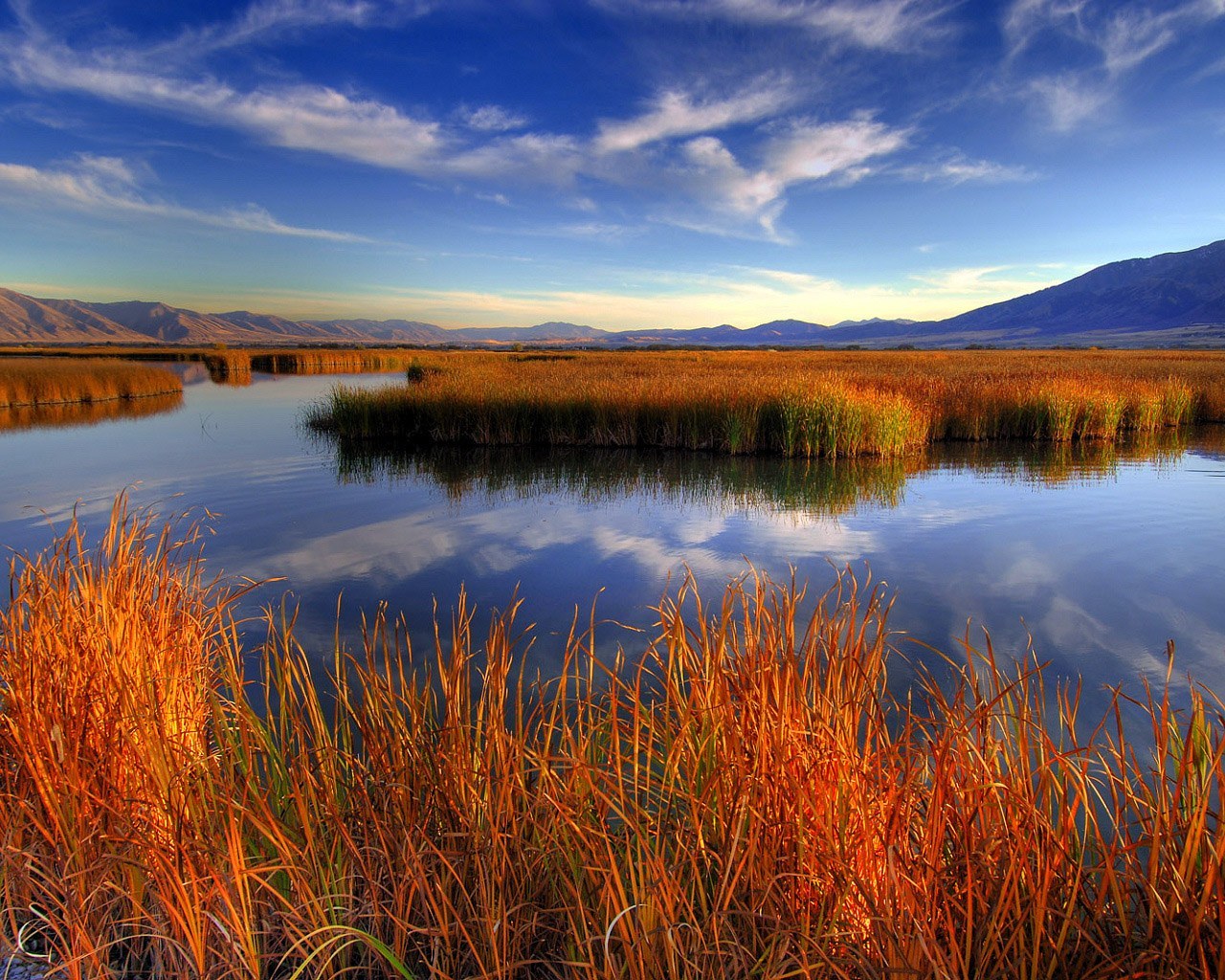 Sunset over a marsh landscape