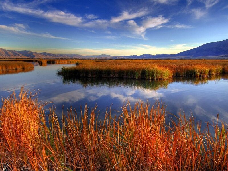 Sunset over a marsh landscape