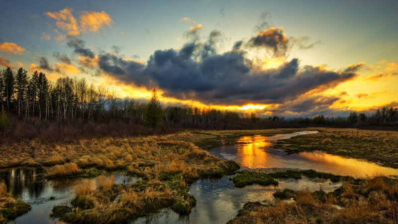 Sunset over a marsh landscape