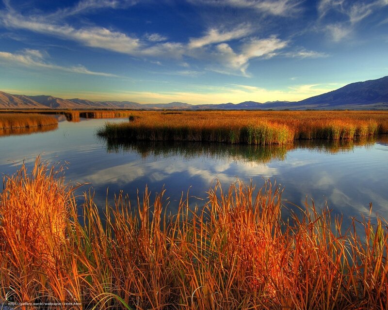 Sunset over a marsh landscape