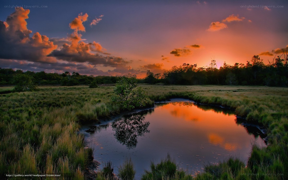 Sunset over a marsh