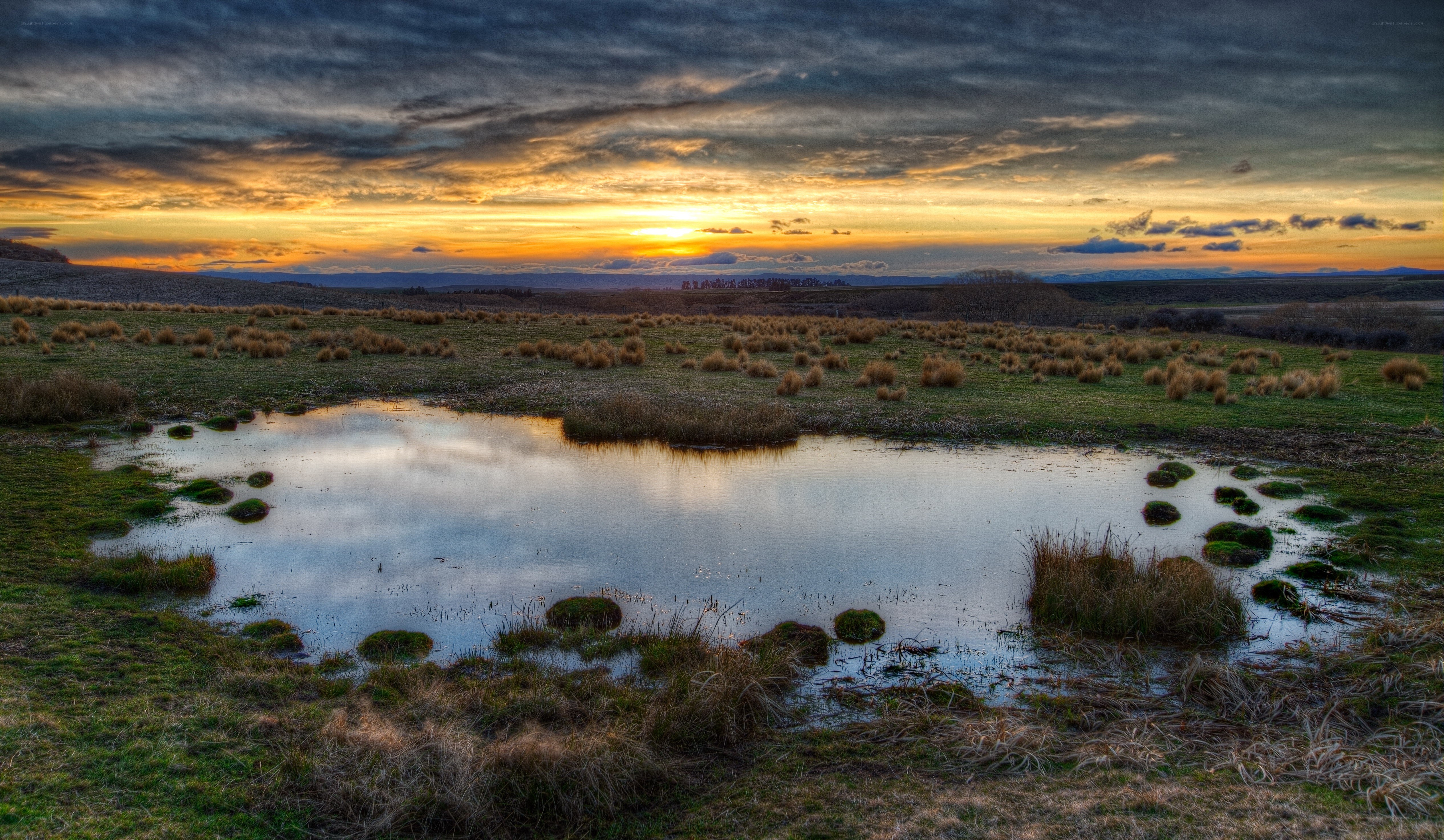 Sunset over a marshy field