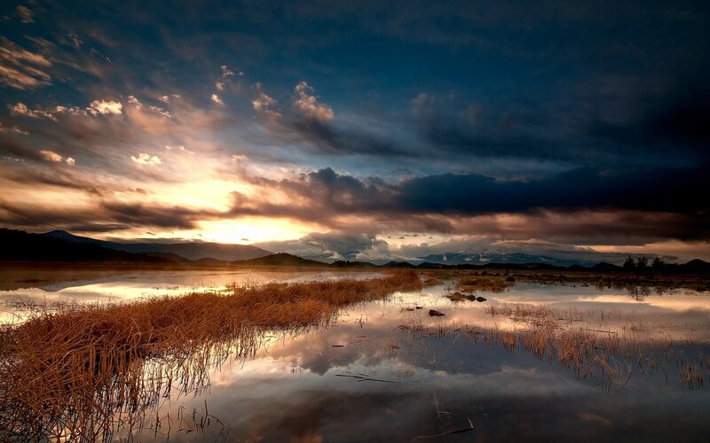 Sunset over a marshy lake