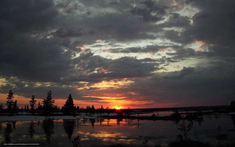 Sunset over a marshy landscape