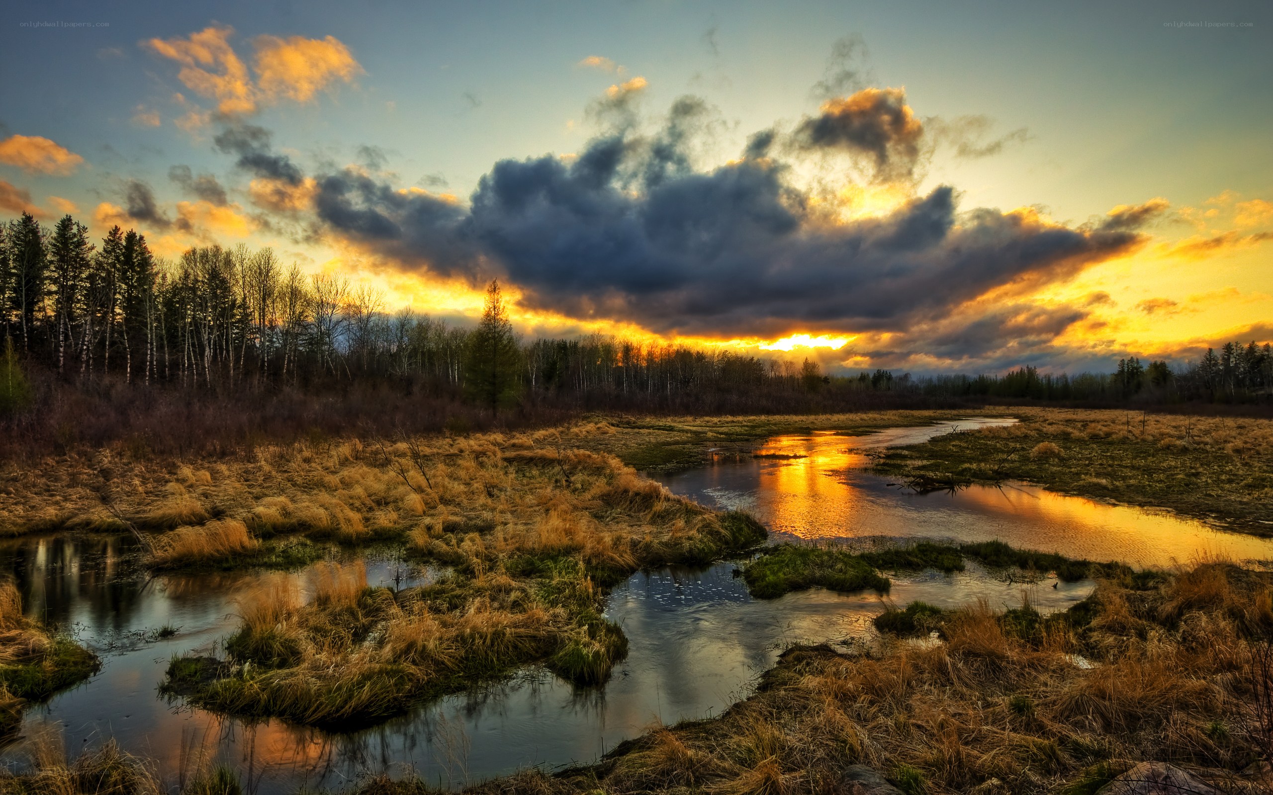 Sunset over a marshy river