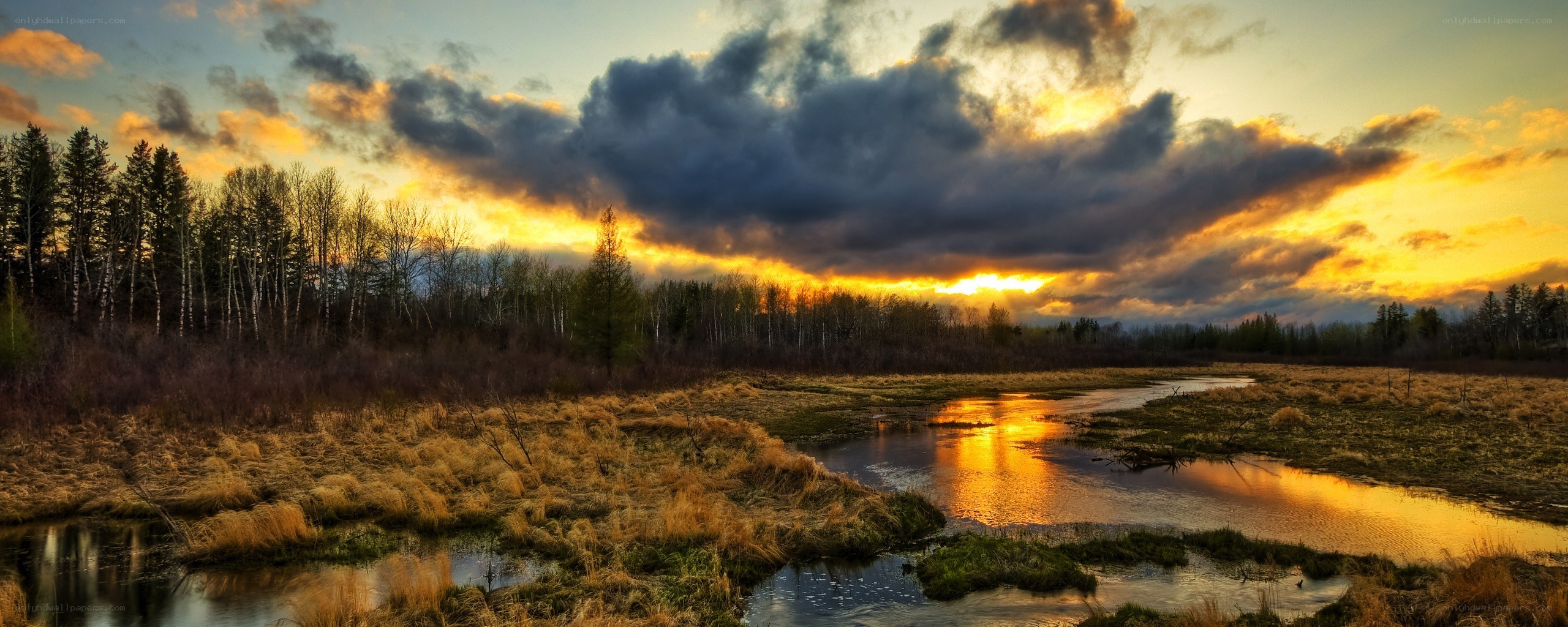 Sunset over a marshy river