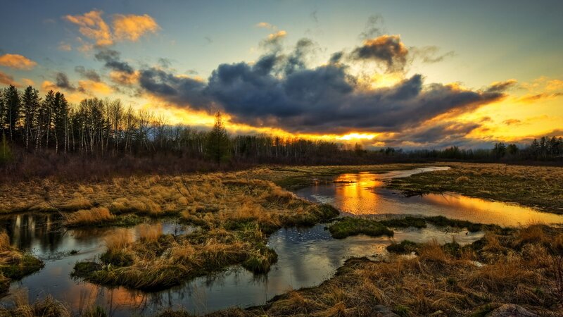 Sunset over a marshy river