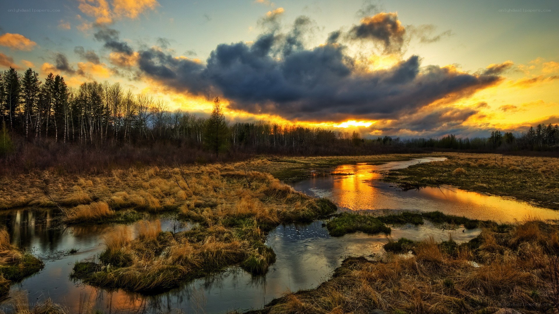 Sunset over a marshy river