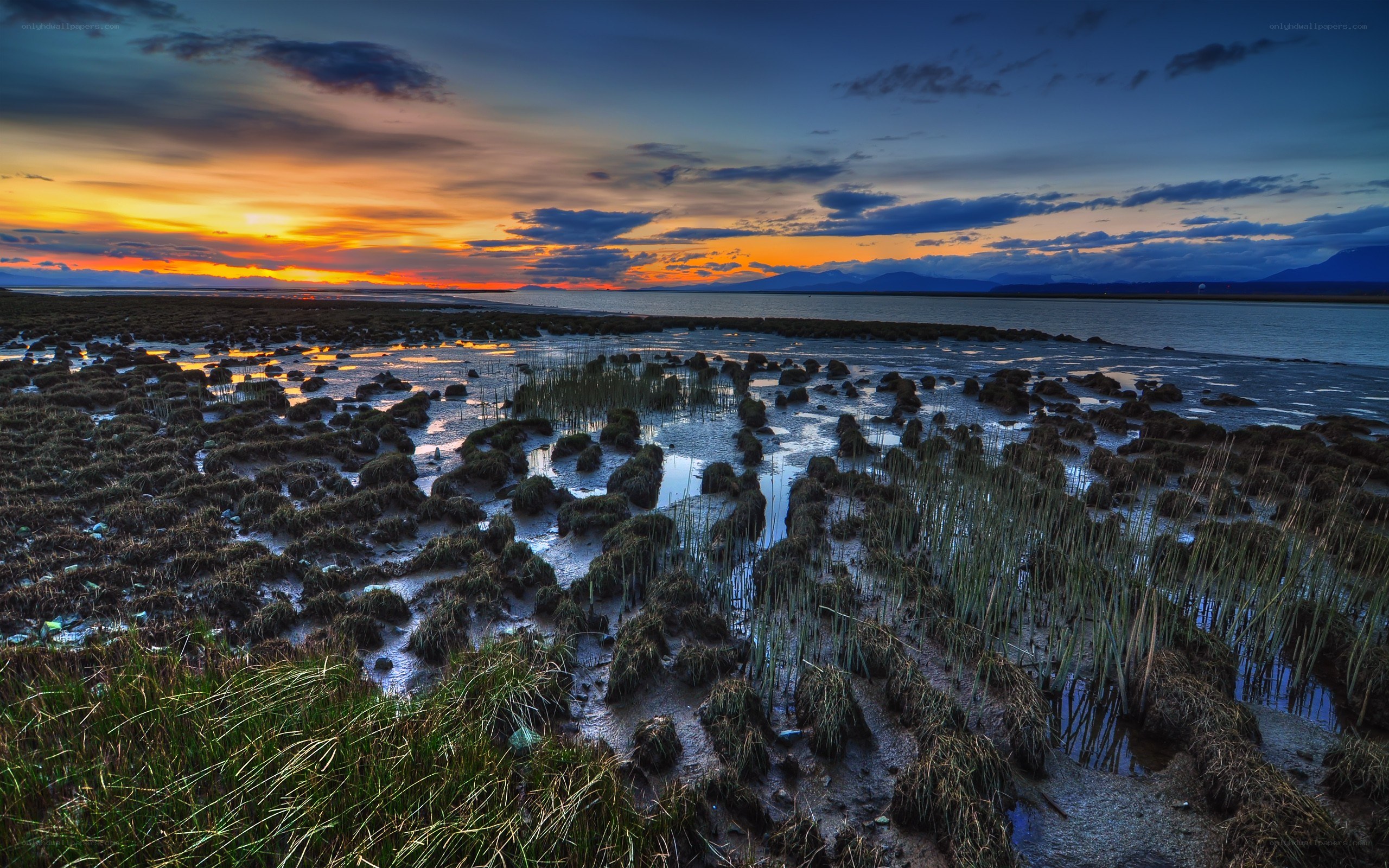 Sunset over a marshy shoreline