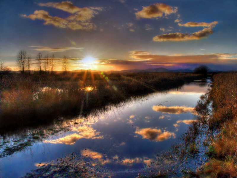 Sunset over a marshy stream