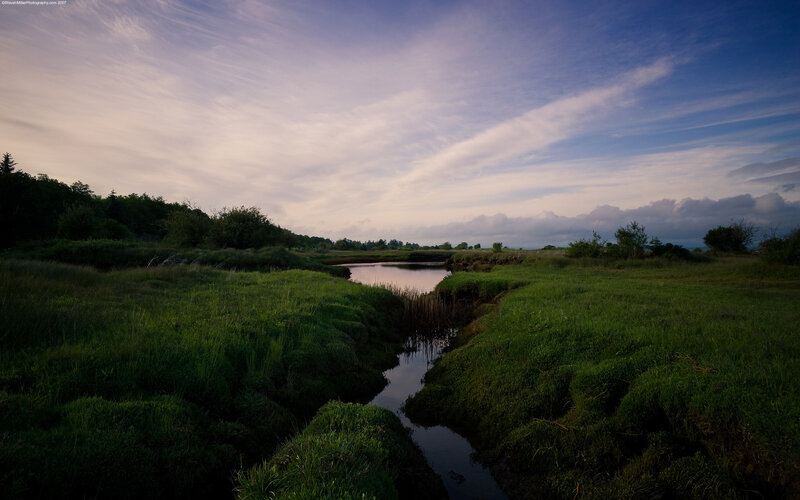 Sunset over a marshy stream