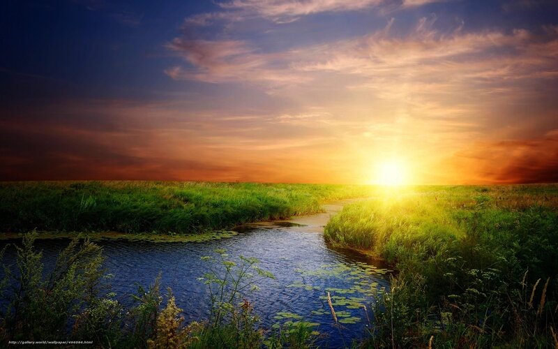Sunset over a meadow stream