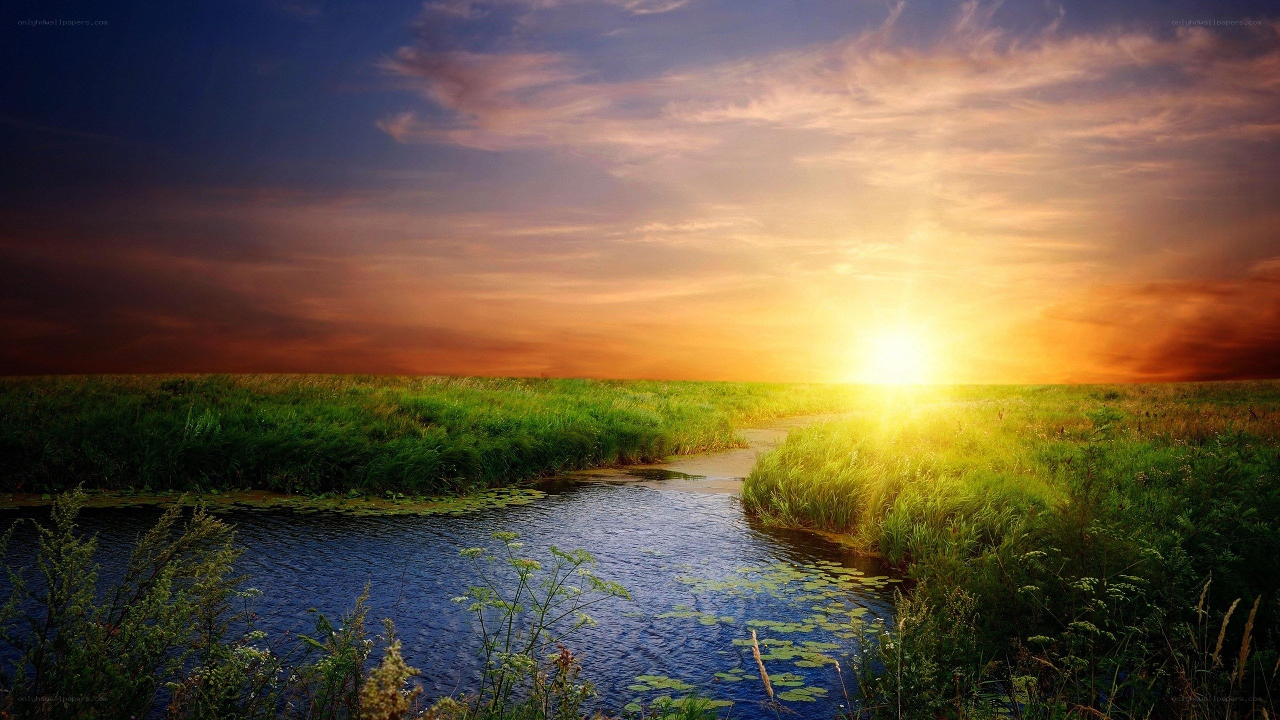 Sunset over a meadow stream