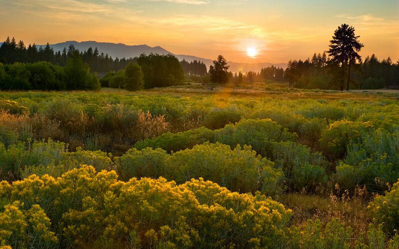 Sunset over a meadow