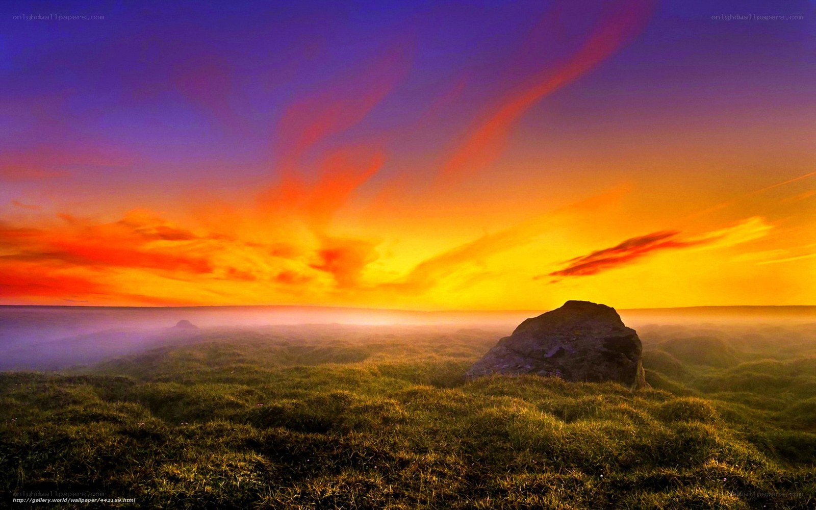 Sunset over a misty field