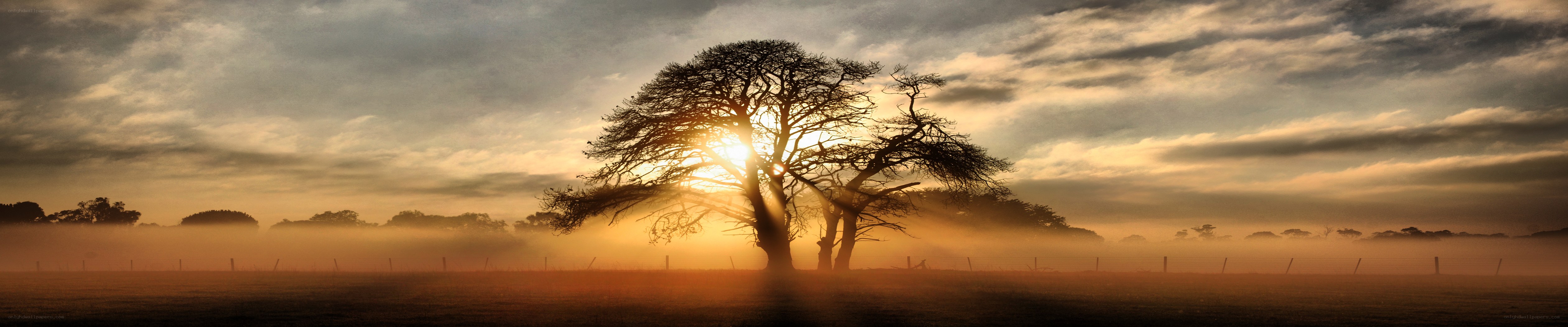Sunset over a misty field