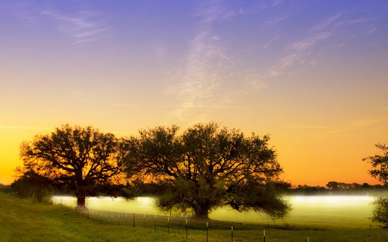 Sunset over a misty field