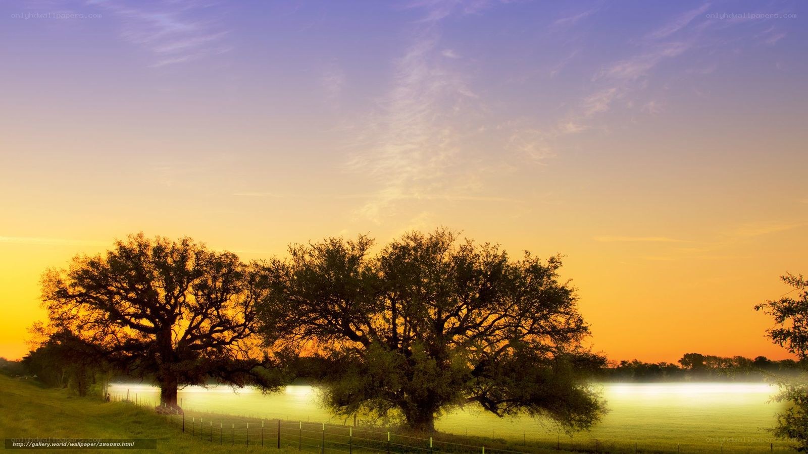 Sunset over a misty field